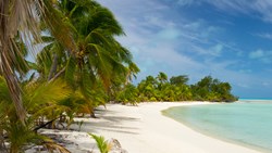 XL Cook Islands Ee Island Aitutaki Atoll South Pacific Beach Sea Palm Trees