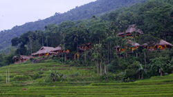 Xl Vietnam Pu Luong Retreat Overview