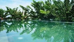 Xl Vietnam Hoian Hoi An Chic Hotel Pool