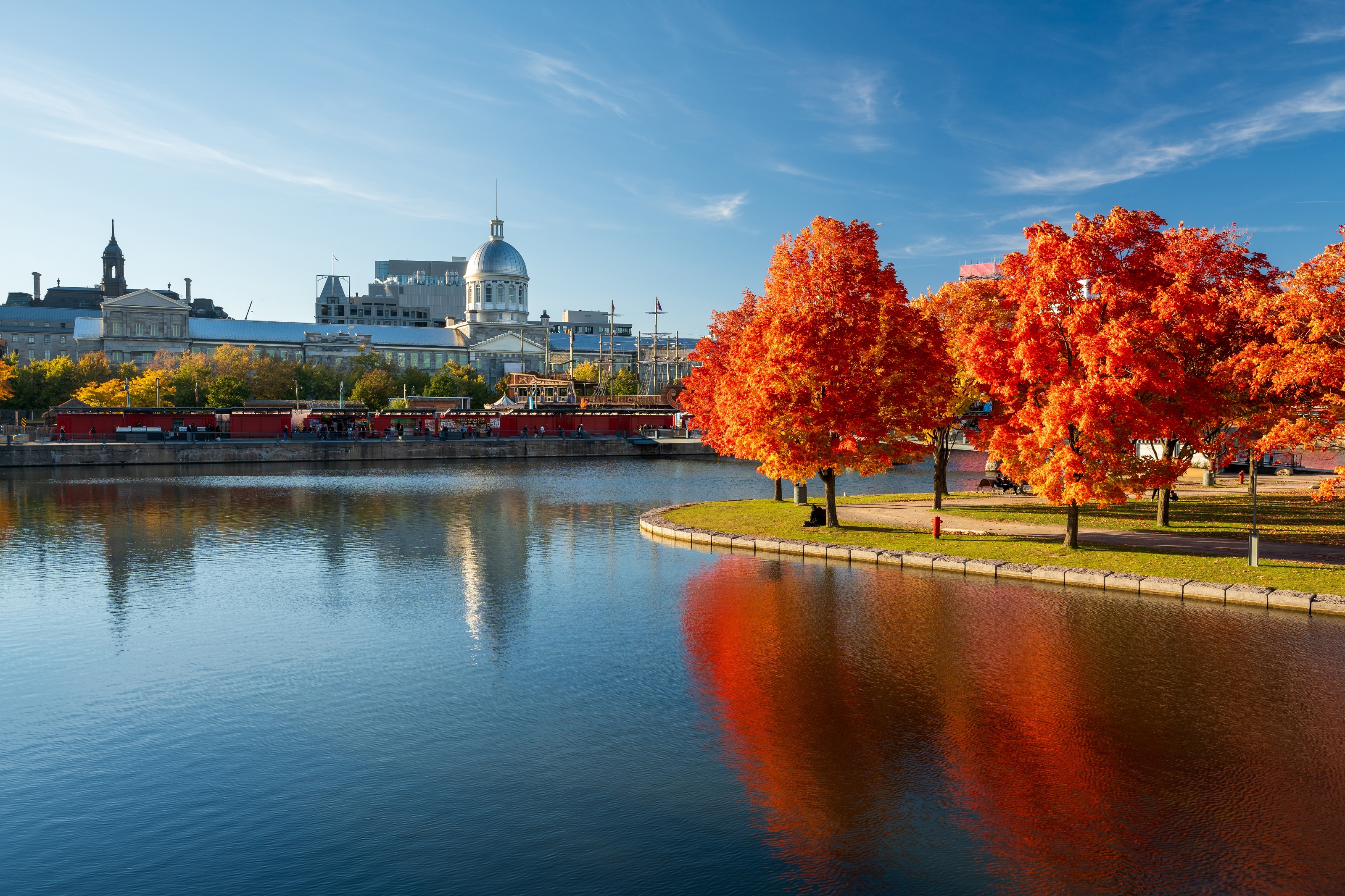 XL Canada Montreal Old Port St. Lawrence River Autumn Leaves