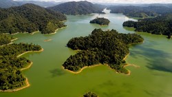 Xl Malaysia Beum Rainforest Aerial View