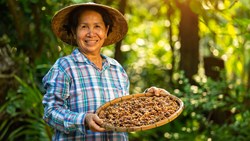XL Bali Woman with Coffee Beans