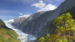 XL Franz Josef Glacier New Zealand View Nature Lookout