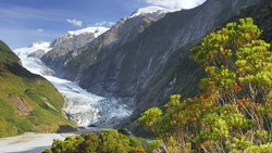 XL Franz Josef Glacier New Zealand View Nature Lookout