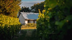 XL New Zealand St Leonards Vineyards Cottages Winemaker's Cottage Exterior