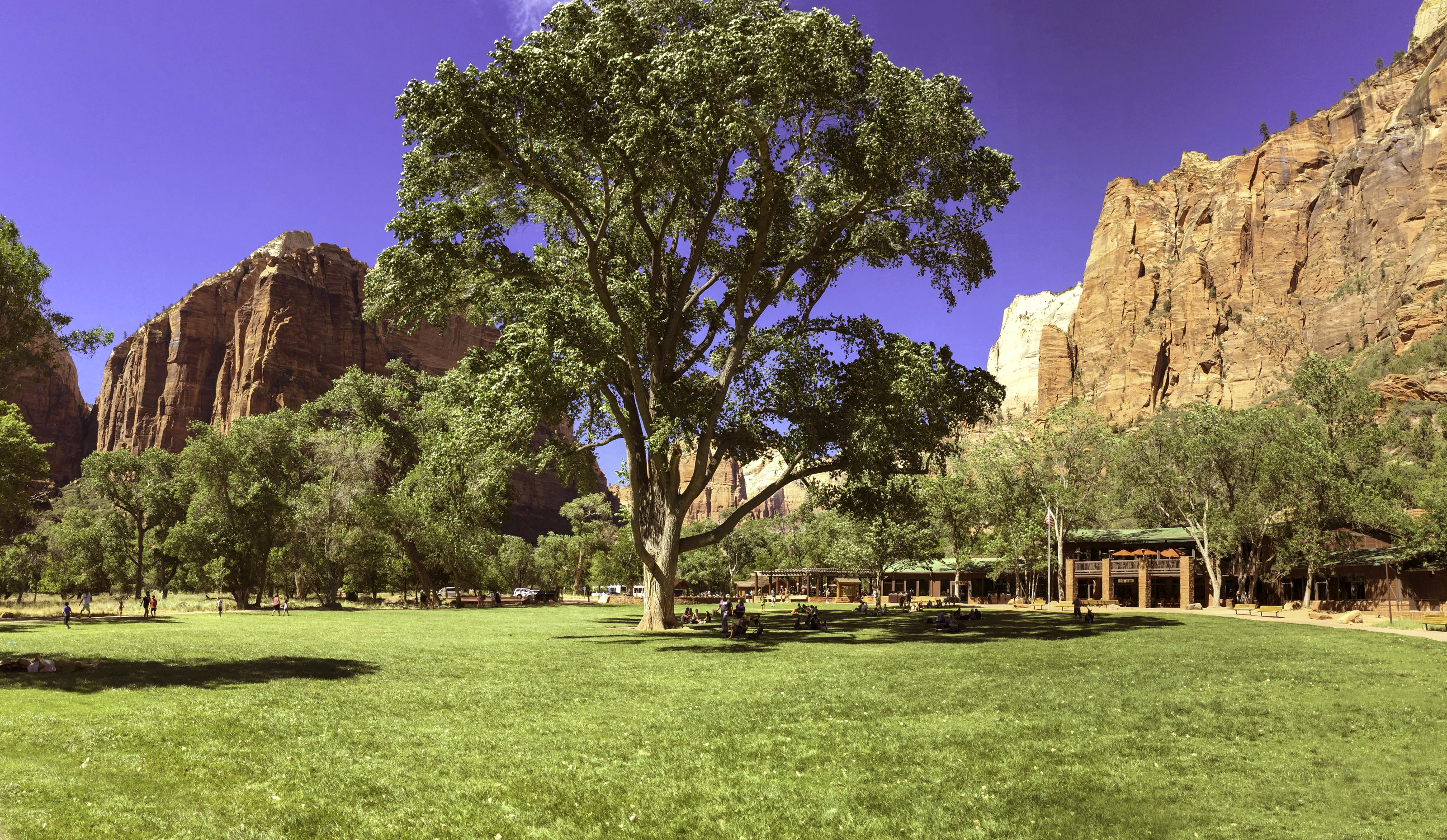 XL USA Utah Zion Lodge Lawn