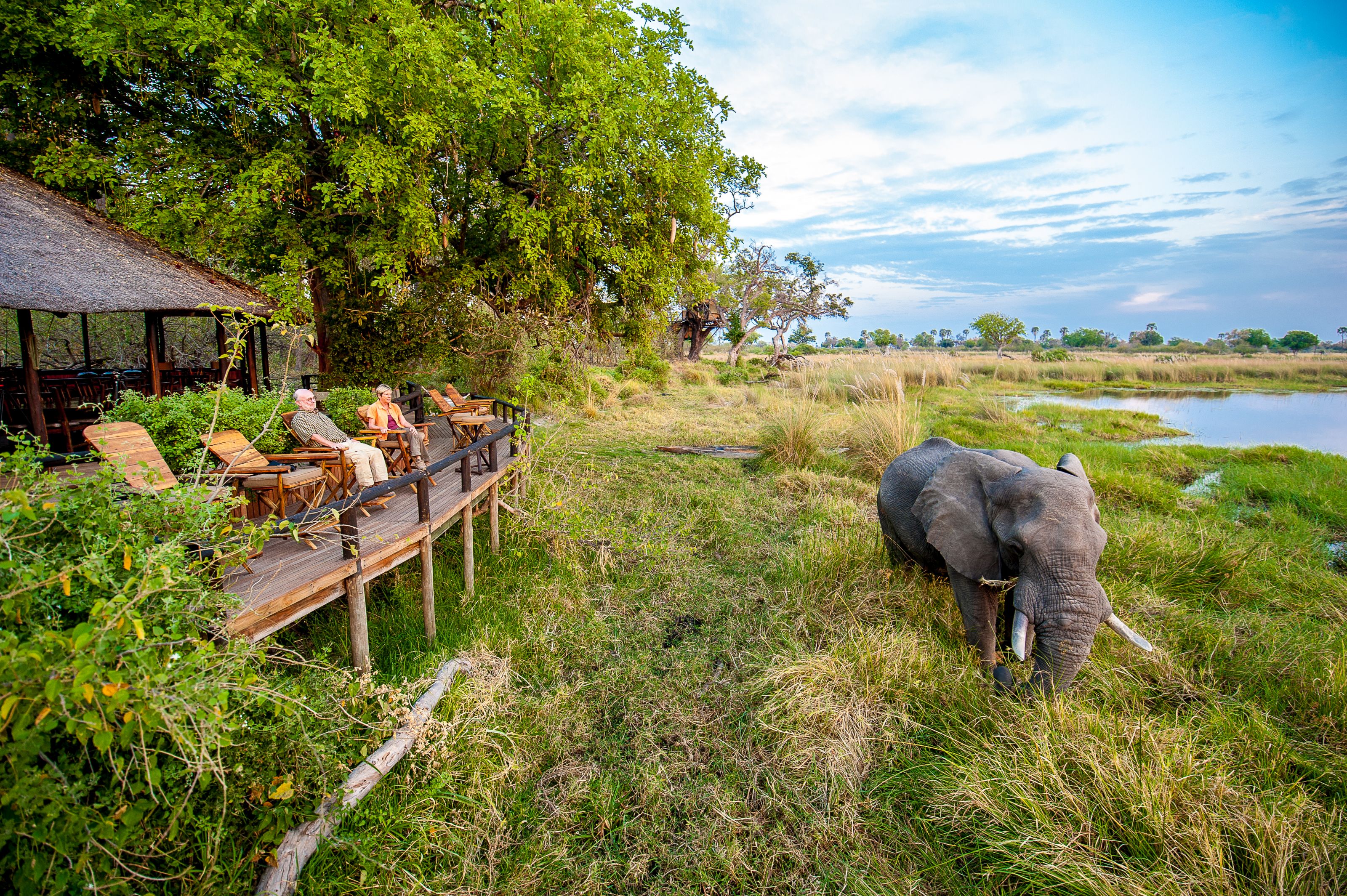 Xl Botswana Okavango Delta Camp View To Elephant