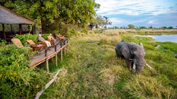 Xl Botswana Okavango Delta Camp View To Elephant