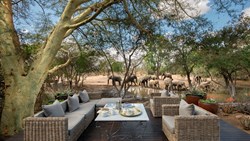 Xl Southafrica Lodge Andbeyond Ngala Safari Lodge Guest Area Lounge Elephants Waterhole