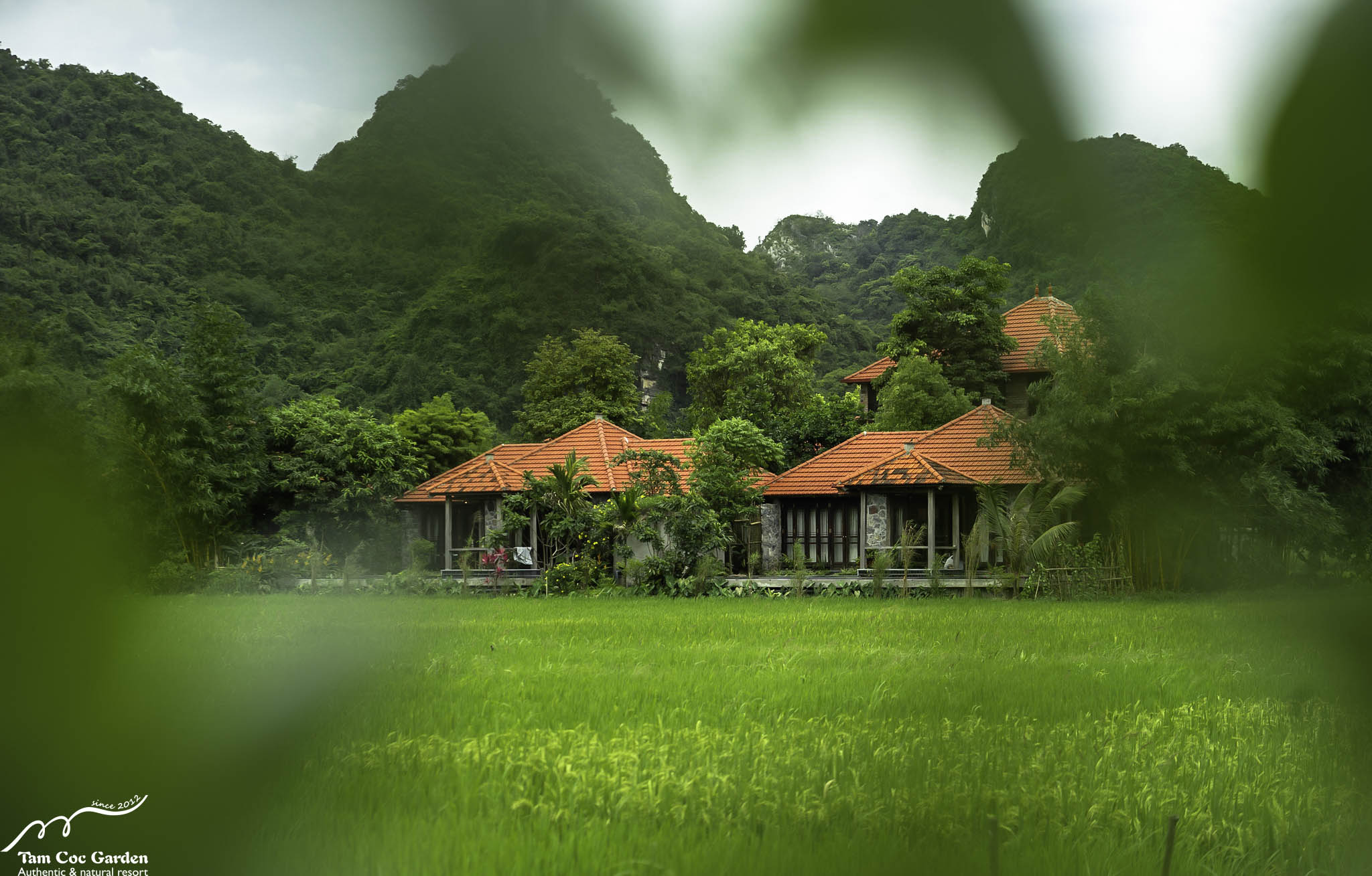 Small Vietnam Ninh Binh Tam Coc Overview
