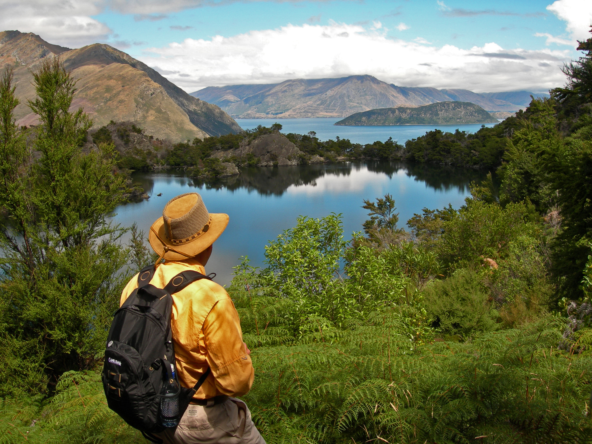 Xl New Zealand Lake Wanaka Cruise Walk Nature Infinity Pool