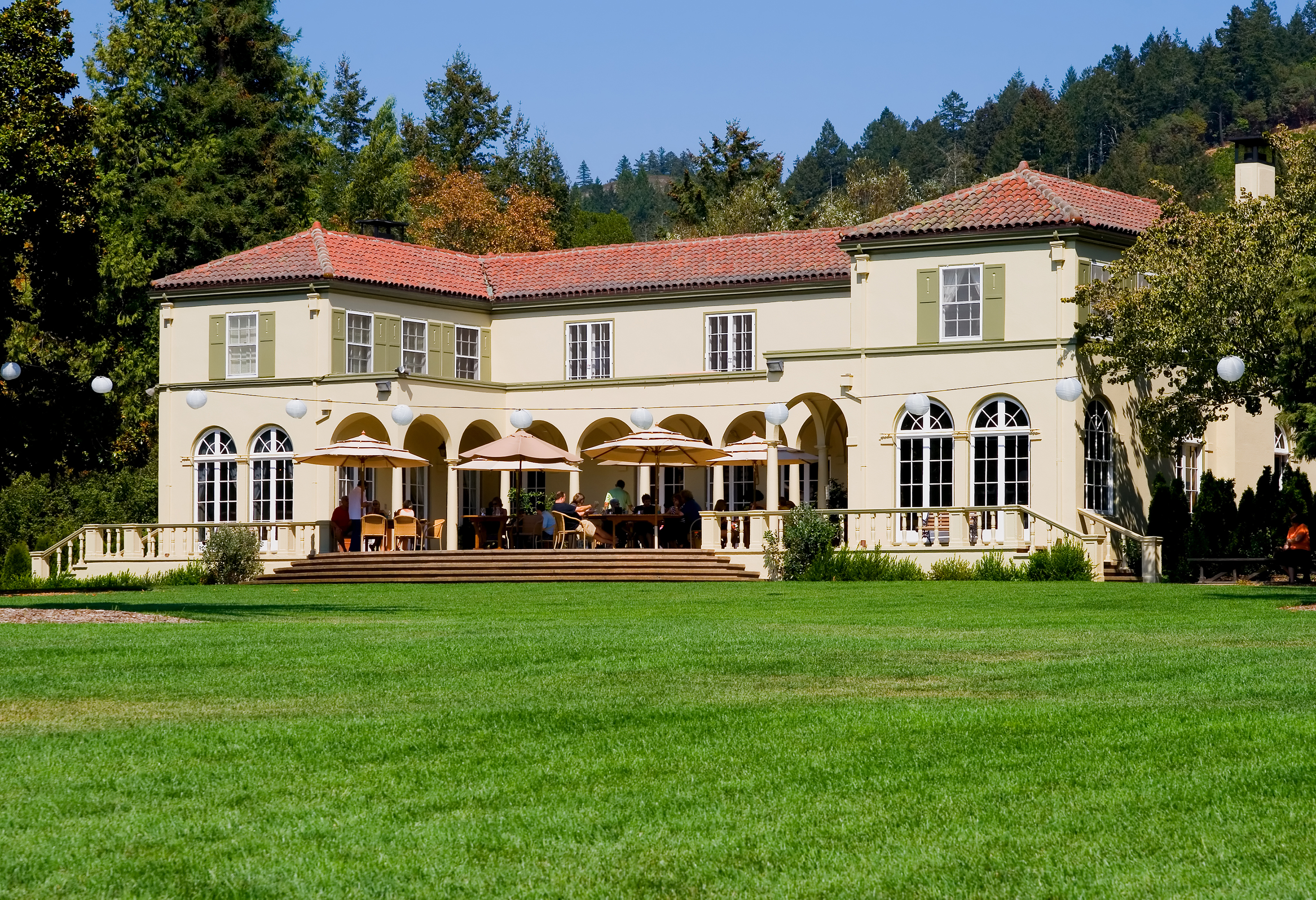 XL USA Sonoma Valley Vineyard In California