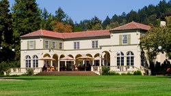 XL USA Sonoma Valley Vineyard In California