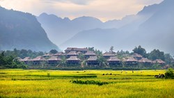 XL Vietnam Mai Chau Mai Chau Ecolodge Ricefields