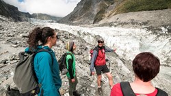 Xl New Zealand Fox Glacier Valley Walk Guide Tour