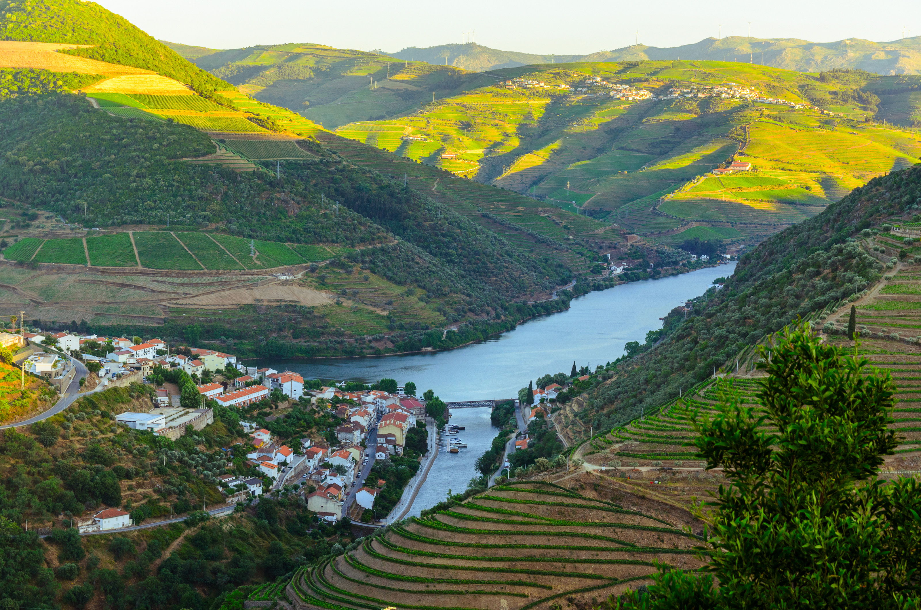 Xl Portugal Vineyard Hills Town River Douro Valley