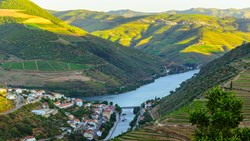 Xl Portugal Vineyard Hills Town River Douro Valley