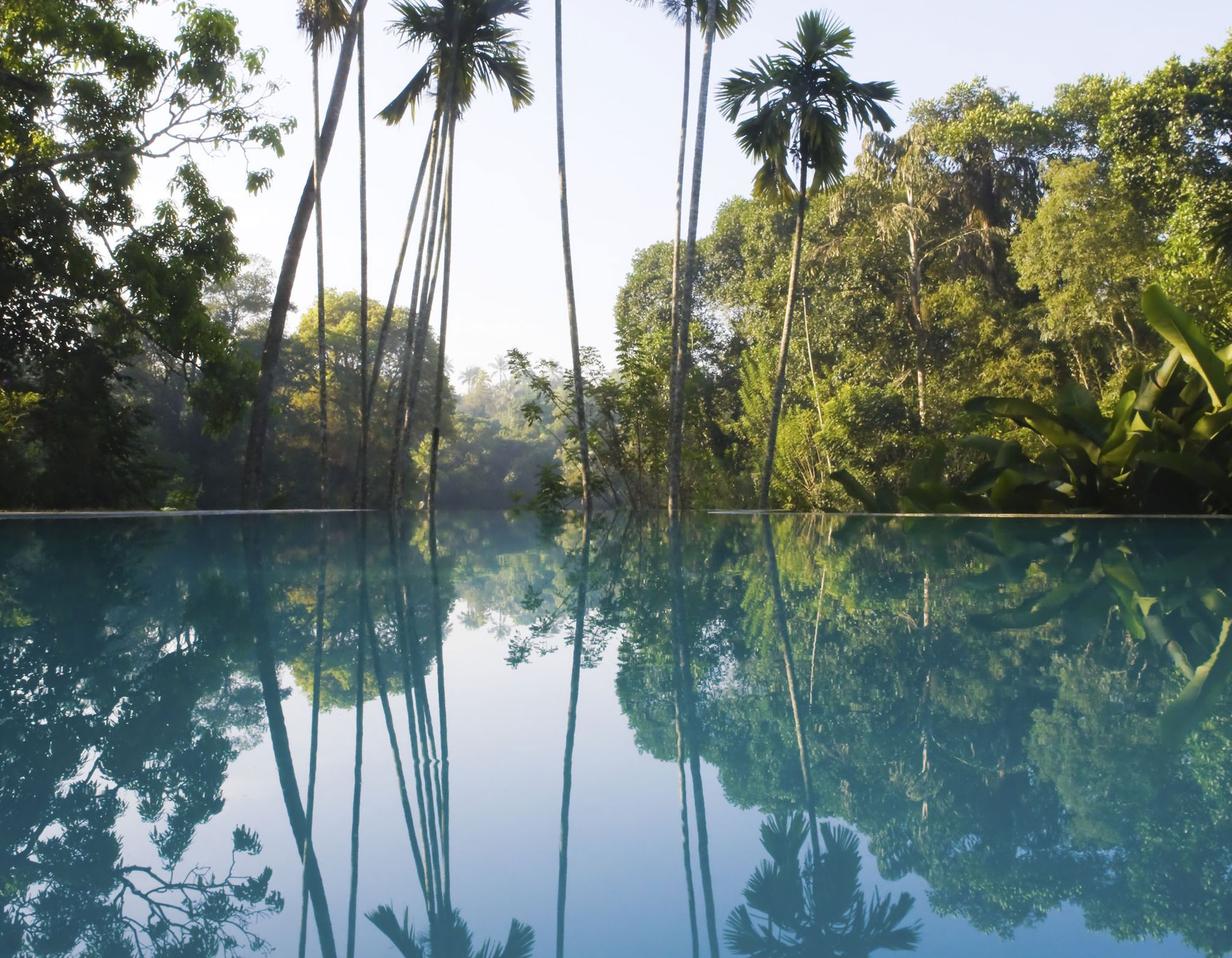 Xl Sri Lanka Hotel The Kandy House Infinity Pool Palmtrees