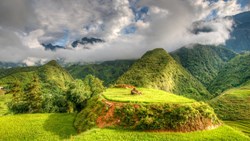 Xl Vietnam Sapa Rice Fields Landscape Mountains Nature