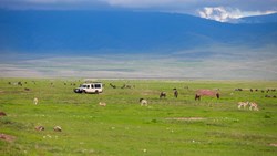 XL Tanzania Ngorongoro Crater Safari Car