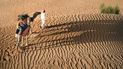 XL Dubai Desert Camel Man